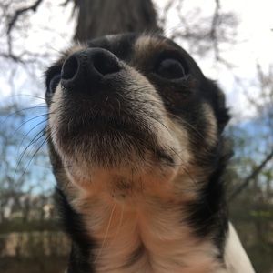 Meet your Posher, Joely